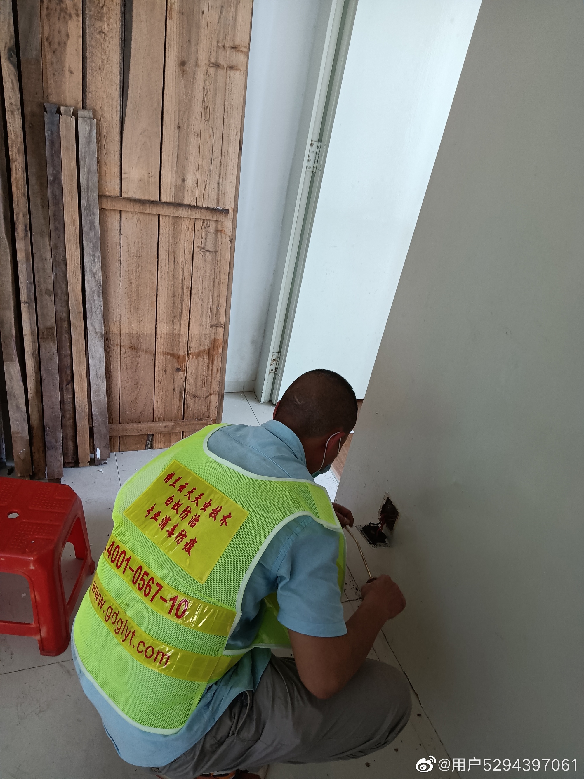 中山辦公室高檔寫字樓白蟻帶來(lái)的危害