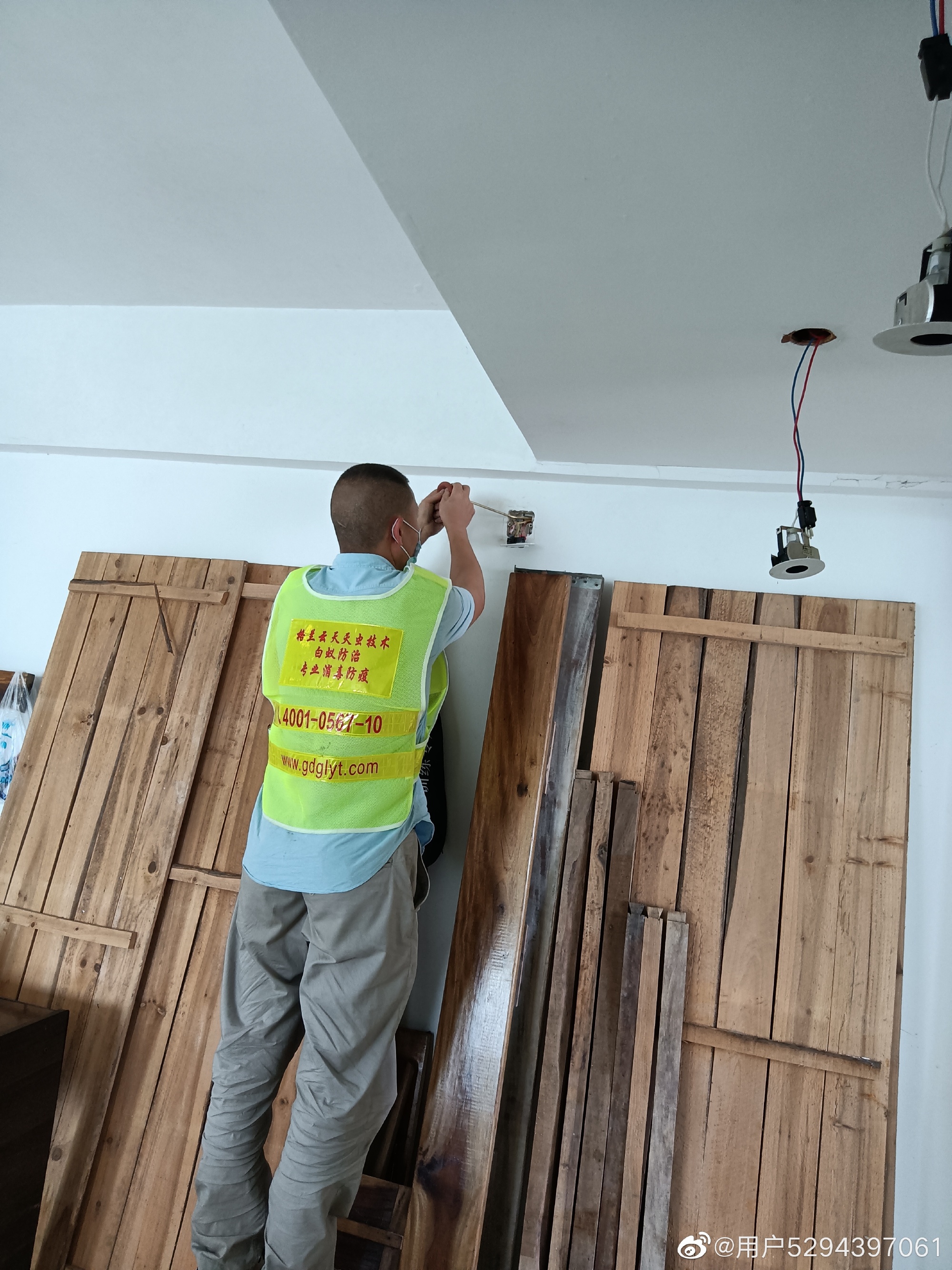 廣東省中山市防治白蟻中心詳解國(guó)外白蟻防治