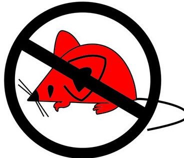 宜春滅老鼠上門抓滅老鼠電話-無害防治專業(yè)團(tuán)隊24小時上門