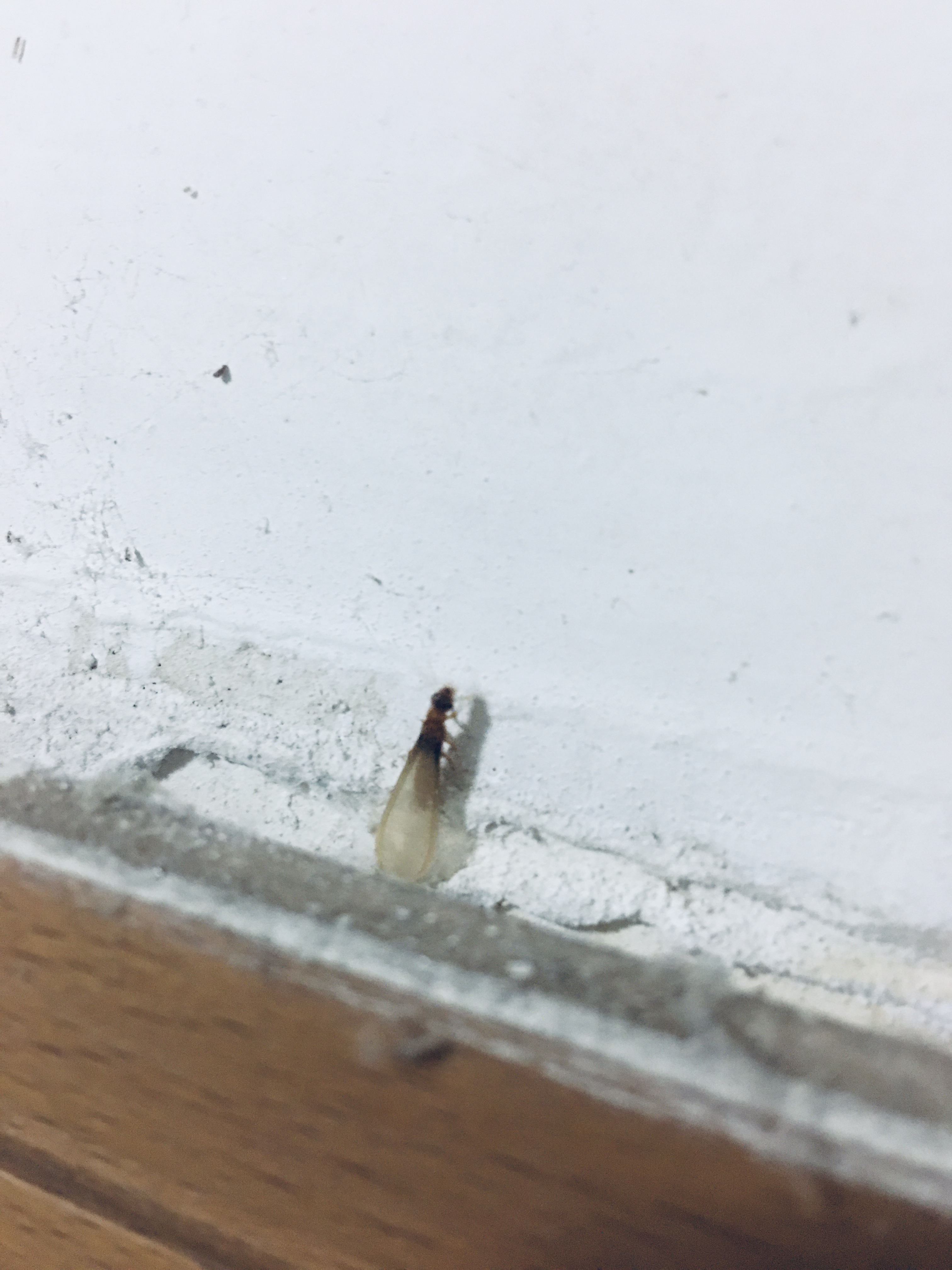 微信圖片_20220501090116.jpg 微信圖片_20220501090116.jpg