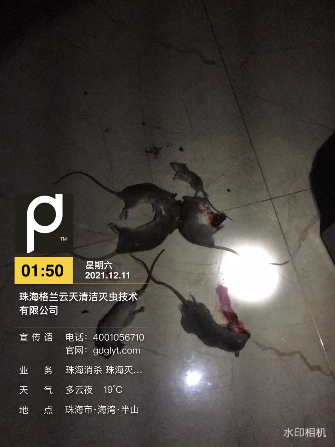 微信圖片_20211214134225.jpg 微信圖片_20211214134225.jpg