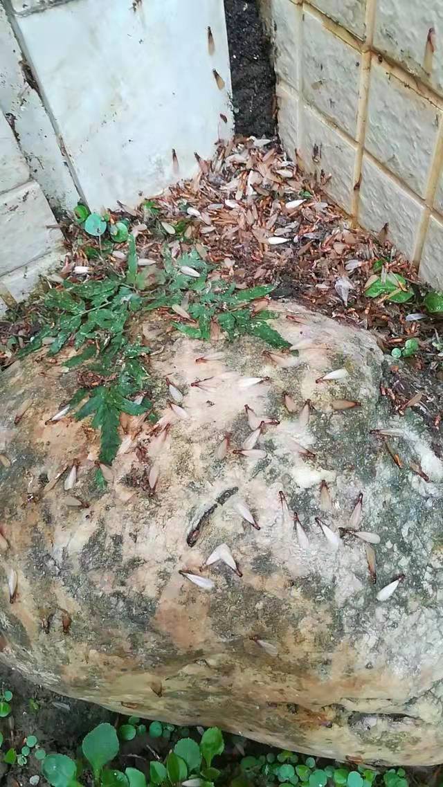 微信圖片_20211115113651.jpg 微信圖片_20211115113651.jpg