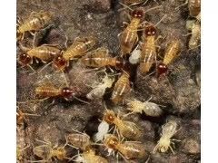 微信圖片_20210620215652.jpg 微信圖片_20210620215652.jpg