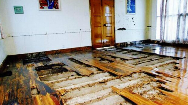 中山白蟻防治所電話，中山白蟻防治中心電話