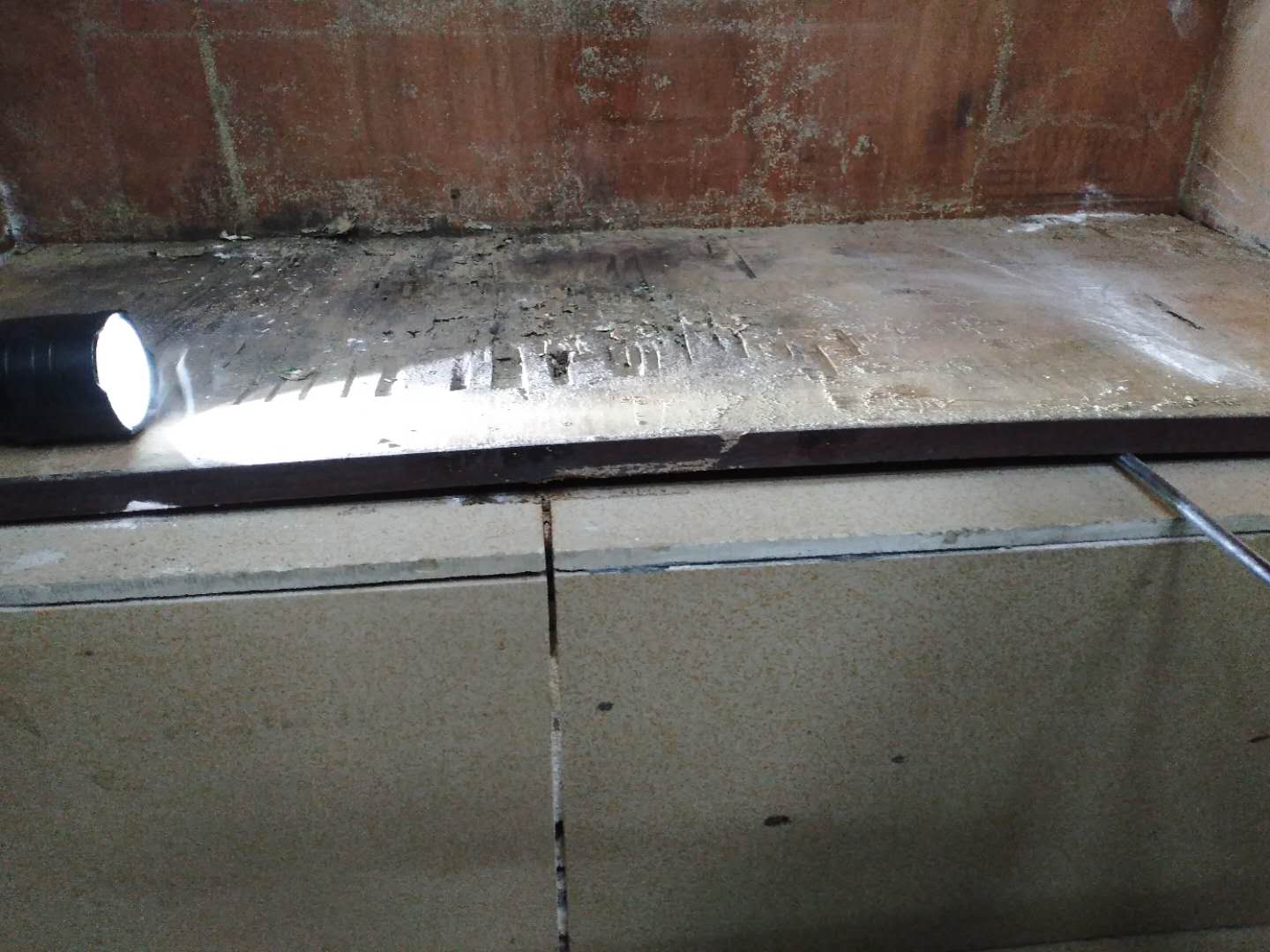 珠海正規(guī)白蟻預防價格