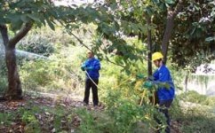 中山白蟻防治公司，當(dāng)天上門(mén)服務(wù)，1小時(shí)內(nèi)