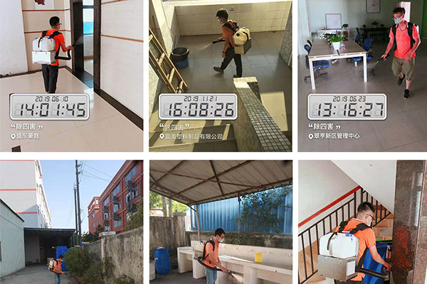 坦洲專(zhuān)業(yè)白蟻預(yù)防公司